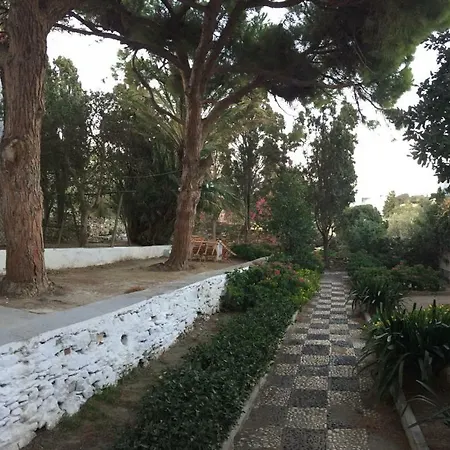 Daire Katina's Garden *