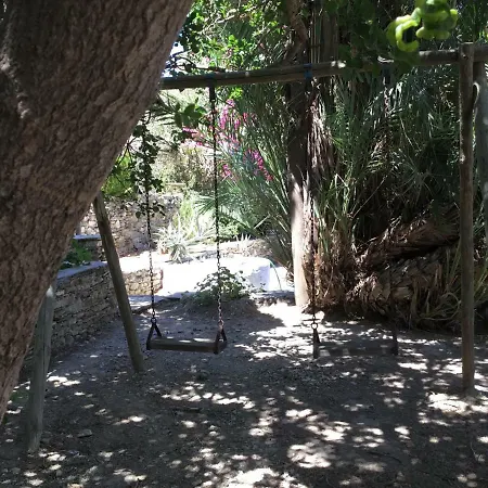 Daire Katina's Garden